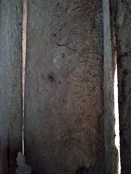 bonnie-00 online show from 29, 10, 2025