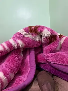 ali  ali210 online show from 31, 1, 2026