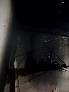 Dung x online show from 10, 1, 2026