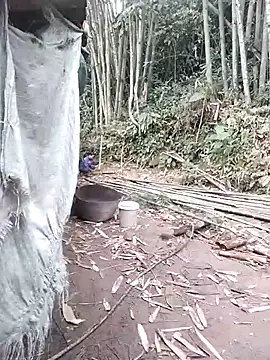 Dung x online show from 6, 4, 2026