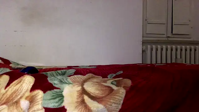 Snapshot of Kwasi-a chatting on 20, 4, 2026 Kwasi-a online show from 20, 4, 2026