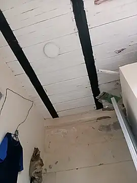 zamir adam online show from 31, 10, 2025