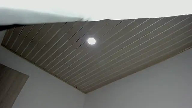 evelynrojas online show from 18, 9, 2025