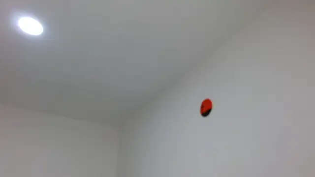 Snapshot of jaico_santos chatting on 16, 2, 2026 jaico santos online show from 16, 2, 2026