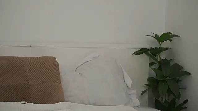 Snapshot of adisson_fox chatting on 6, 11, 2025 adisson fox online show from 6, 11, 2025