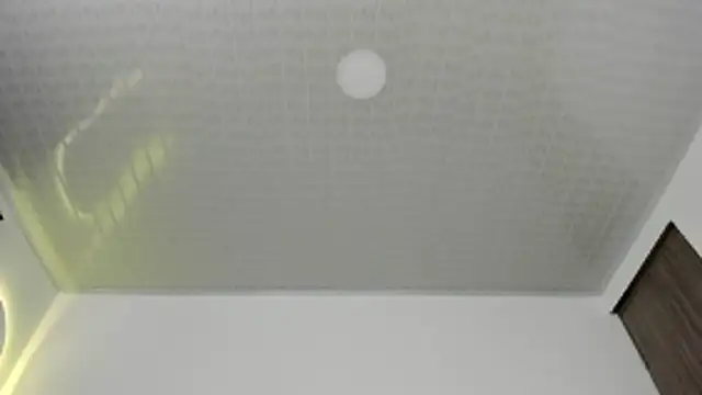 Snapshot of brandy_h9 chatting on 17, 1, 2026 brandy h9 online show from 17, 1, 2026