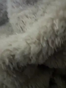 Snapshot of futsam653 chatting on 12, 11, 2025 futsam653 online show from 12, 11, 2025