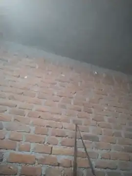 Hott cutgirl online show from 15, 12, 2025