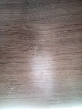 Snapshot of ValeriaLove43211 chatting on 13, 3, 2026 ValeriaLove43211 online show from 13, 3, 2026