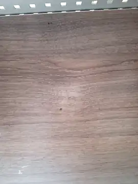 Snapshot of ValeriaLove43211 chatting on 6, 4, 2026 ValeriaLove43211 online show from 6, 4, 2026