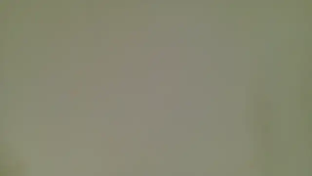 Snapshot of KeendraFox_ chatting on 13, 6, 2026 KeendraFox online show from 13, 6, 2026