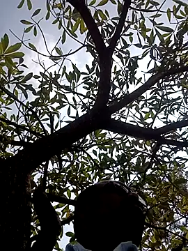 Snapshot of ipvk chatting on 2, 3, 2026 ipvk online show from 2, 3, 2026