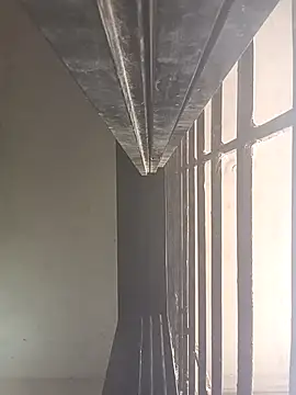 ipvk online show from 1, 4, 2026