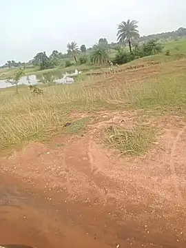 AgitatedStrip9 online show from 22, 9, 2025