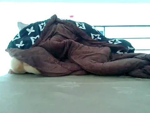 Snapshot of loveninja chatting on 8, 11, 2025 loveninja online show from 8, 11, 2025