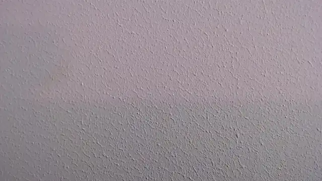 Camila Torresss online show from 30, 3, 2026