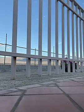 liahouses online show from 28, 9, 2025