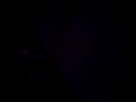 Snapshot of ese_Valentin_rico chatting on 8, 10, 2025 ese Valentin rico online show from 8, 10, 2025