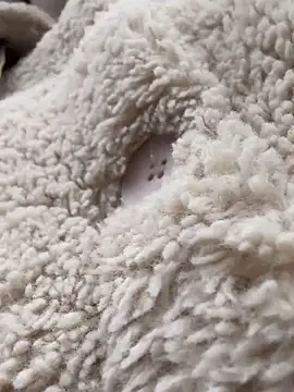 RonnieKiss online show from 24, 10, 2025