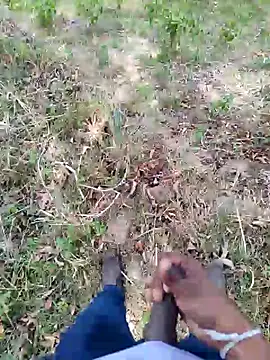 DICKLANKA online show from 23, 9, 2025