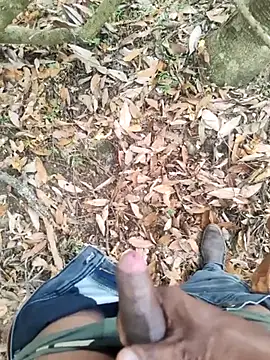 DICKLANKA online show from 27, 9, 2025