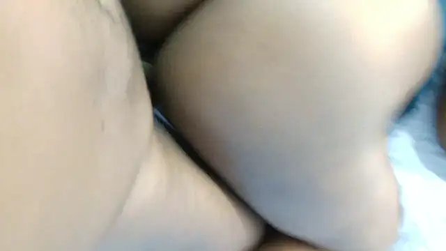 Dandelion enigman online show from 11, 1, 2026