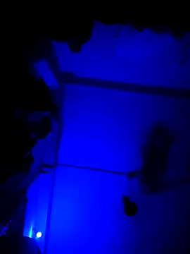 chunkyguy98 online show from 6, 10, 2025