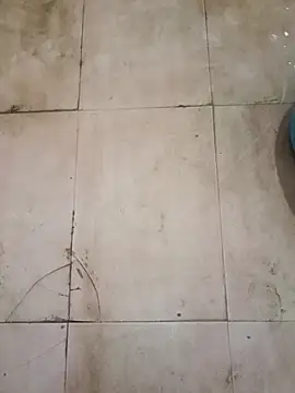 Snapshot of TeluguCuplehyd chatting on 20, 9, 2025 TeluguCuplehyd online show from 20, 9, 2025