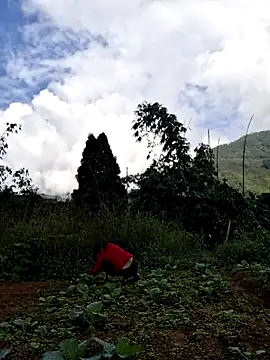 Snapshot of diamond-- chatting on 15, 11, 2025 diamond-- online show from 15, 11, 2025