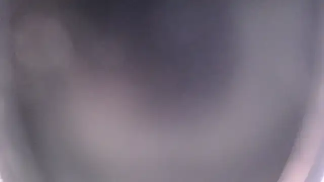 EmilyCley online show from 14, 11, 2025