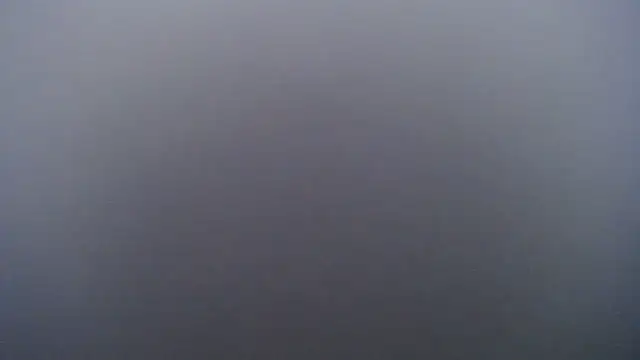 Juiceybileh online show from 1, 2, 2026