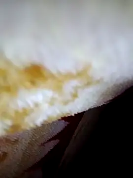 Snapshot of alone_boy802 chatting on 6, 10, 2025 alone boy802 online show from 6, 10, 2025