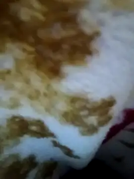 Snapshot of alone_boy802 chatting on 9, 11, 2025 alone boy802 online show from 9, 11, 2025