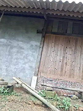 xuxulovezz online show from 9, 11, 2025