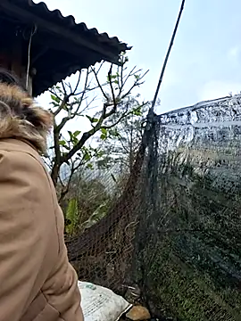 helenzz online show from 18, 12, 2025