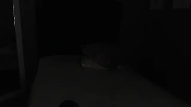 Vic Taylor online show from 7, 11, 2025