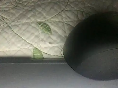 paula19800 online show from 3, 10, 2025