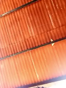 Snapshot of Goofygoody17 chatting on 8, 2, 2026 Goofygoody17 online show from 8, 2, 2026