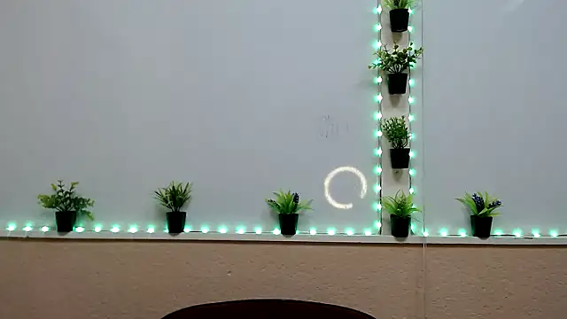 Hoot Dude  online show from 19, 11, 2025