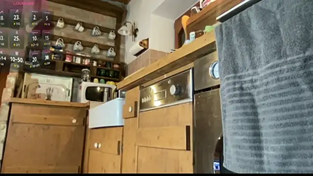 vani vibez online show from 23, 11, 2025