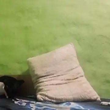 kaland69 online show from 9, 11, 2025