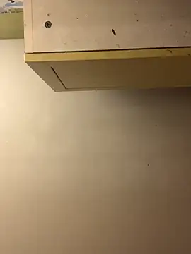 chtentation online show from 15, 12, 2025