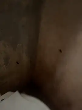 Snapshot of favelado33 chatting on 26, 9, 2025 favelado33 online show from 26, 9, 2025