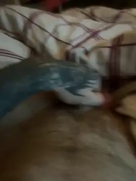 Snapshot of Thebald-topher chatting on 28, 9, 2025 Thebald-topher online show from 28, 9, 2025