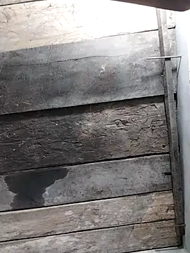 zhen-zo online show from 17, 4, 2026