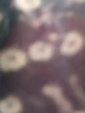 Na shreya online show from 5, 4, 2026