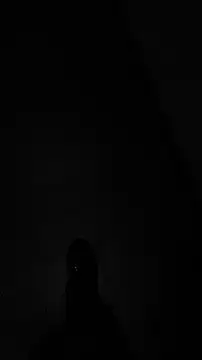 tia   fox online show from 24, 11, 2025