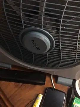 Snapshot of -bunny06 chatting on 2, 10, 2025 -bunny06 online show from 2, 10, 2025