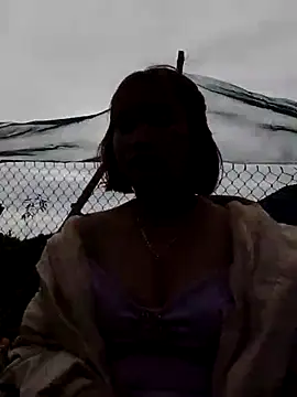 Bum 538 online show from 17, 12, 2025