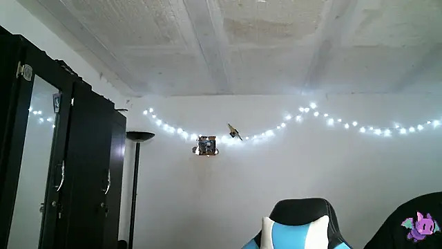 Snapshot of Dickie_Dicking chatting on 17, 3, 2026 Dickie Dicking online show from 17, 3, 2026